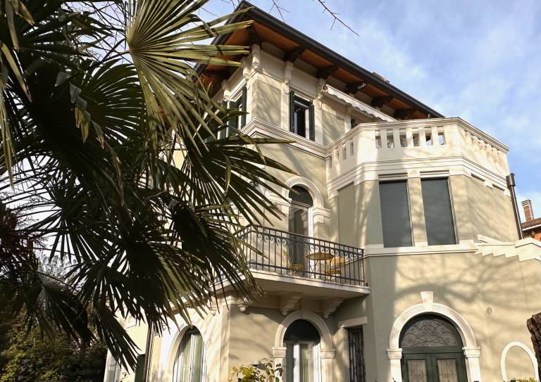 Palm fronds partially obscure an ornate villa